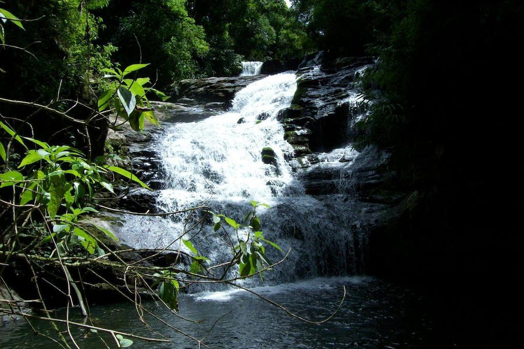 Terra Do Sempre - Reserva Ambiental Otel São Francisco de Paula Dış mekan fotoğraf