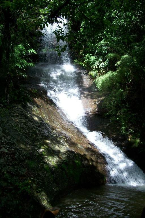 Terra Do Sempre - Reserva Ambiental Otel São Francisco de Paula Dış mekan fotoğraf