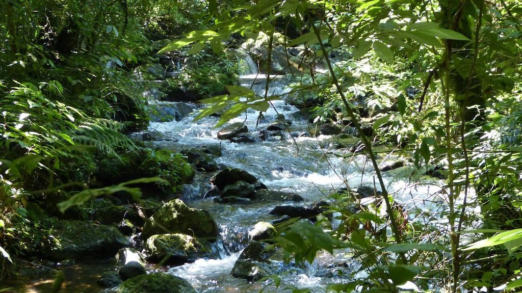 Terra Do Sempre - Reserva Ambiental Otel São Francisco de Paula Dış mekan fotoğraf